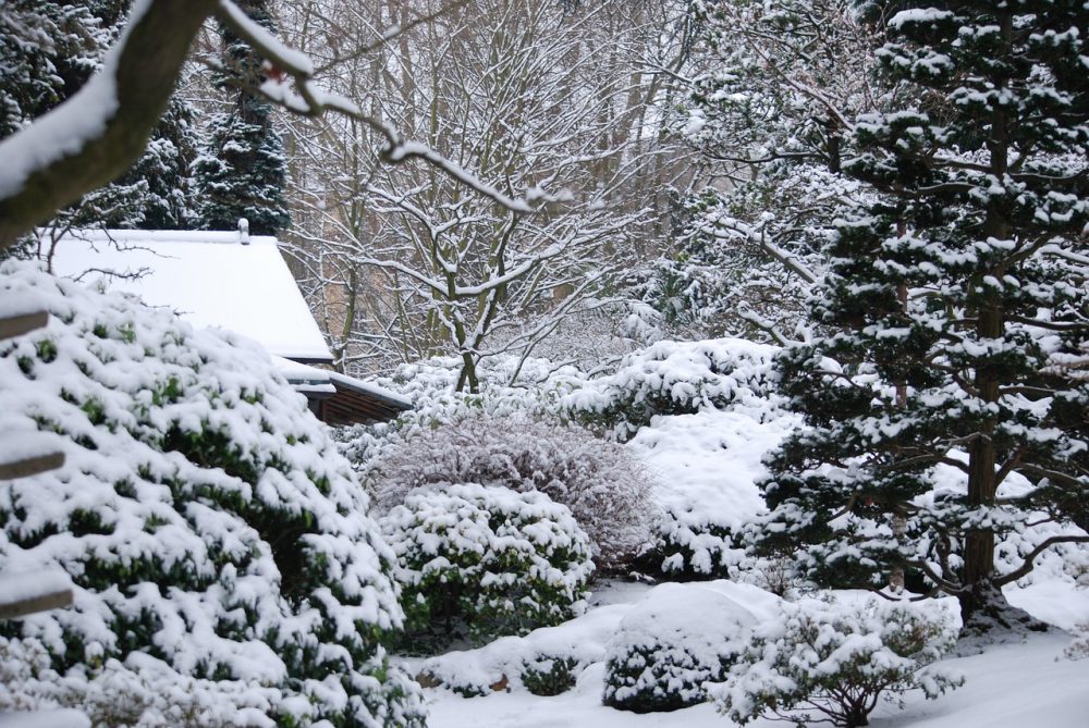 5 tips voor het winterklaar maken van je tuin